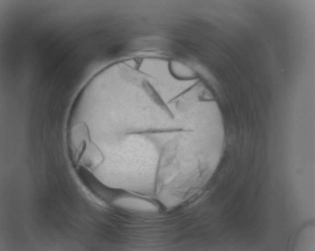 X0000081331423200702082150