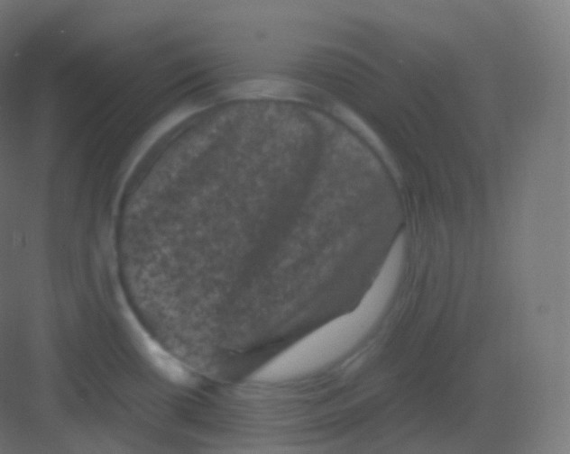 X0000081331434200702082150