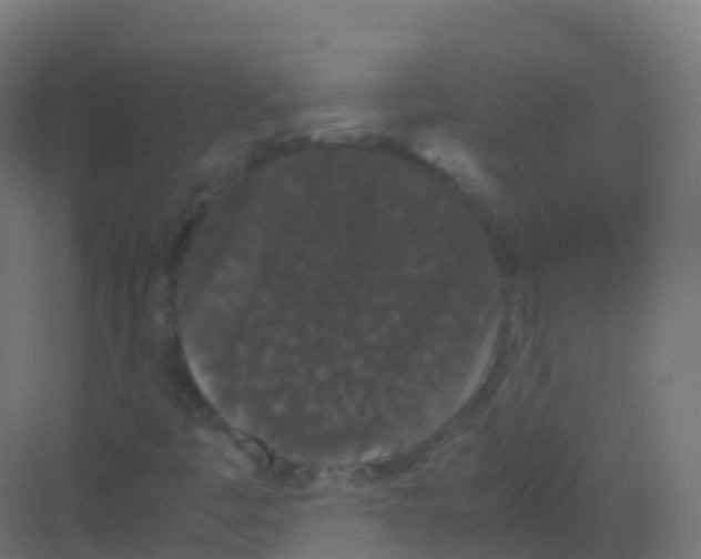X0000081331445200702082150