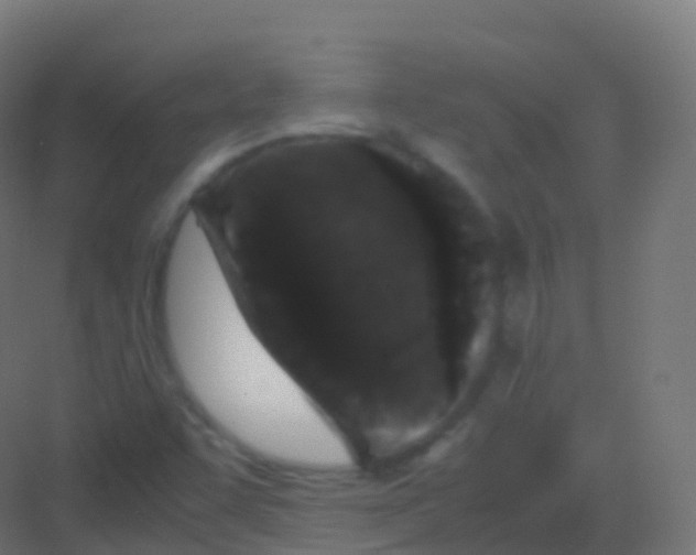 X0000081331455200702082149