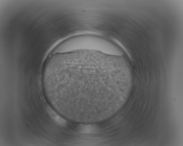 X0000081331460200702082149