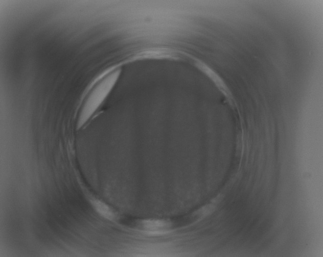 X0000081331465200702082149