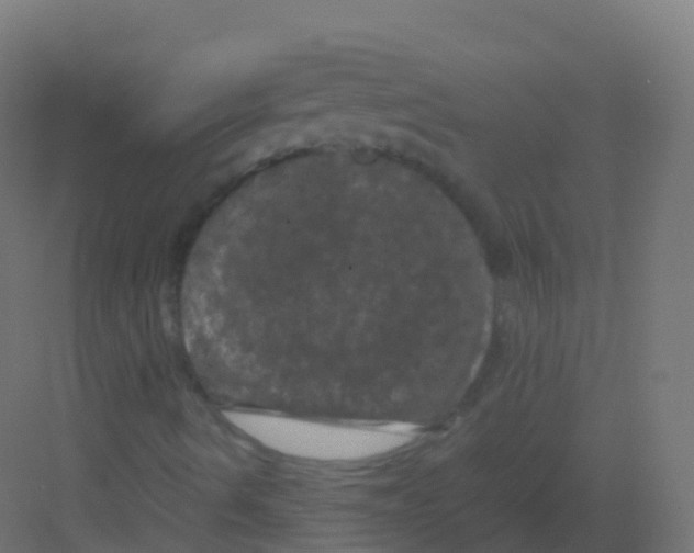X0000081331490200702082148