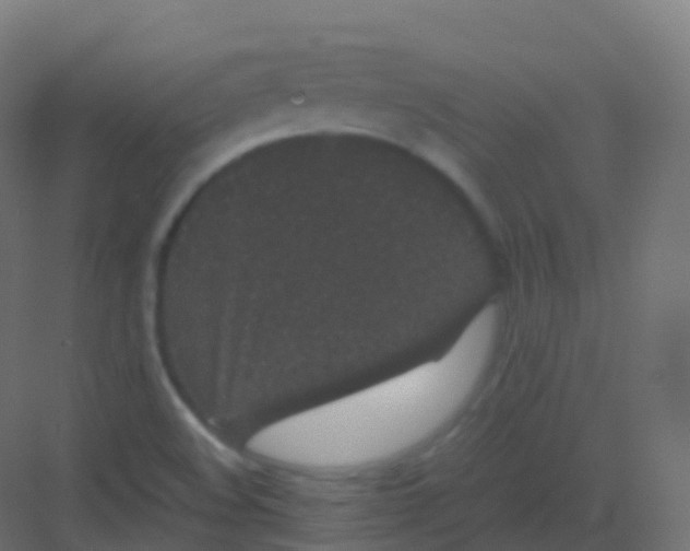 X0000081331508200702082148