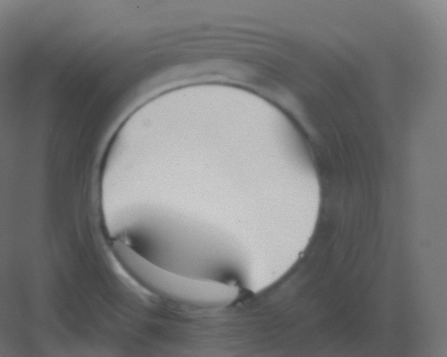 X0000081331516200702082148