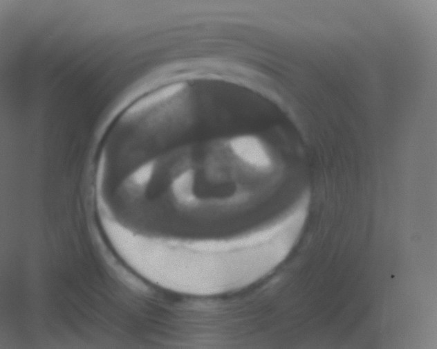 X0000081331522200702082149