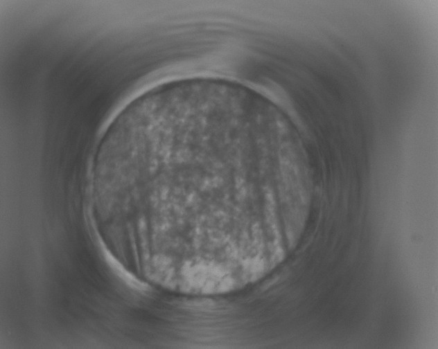 X0000081331524200702082149