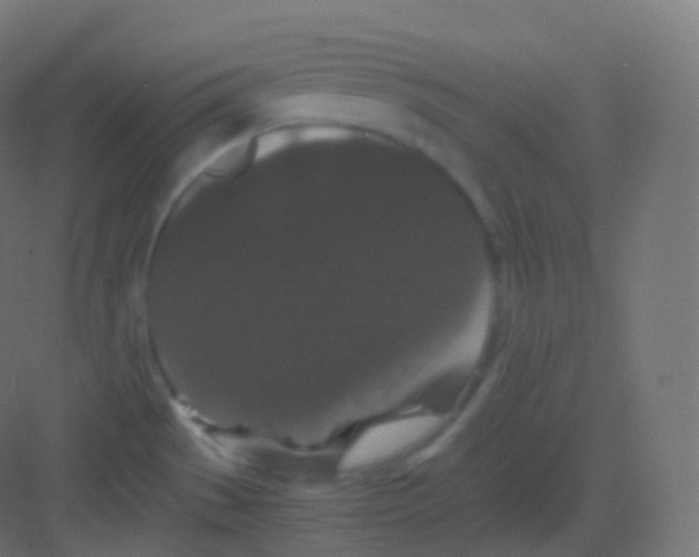 X0000081331529200702082149