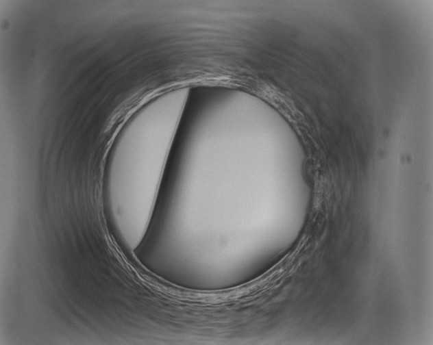 X0000081340002200701111040