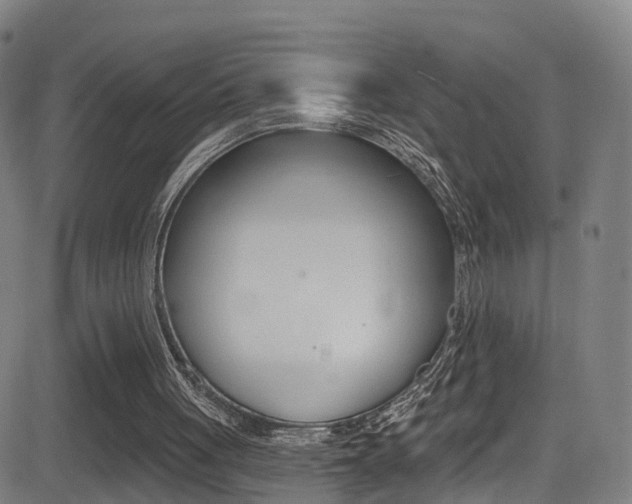 X0000081340051200701111039