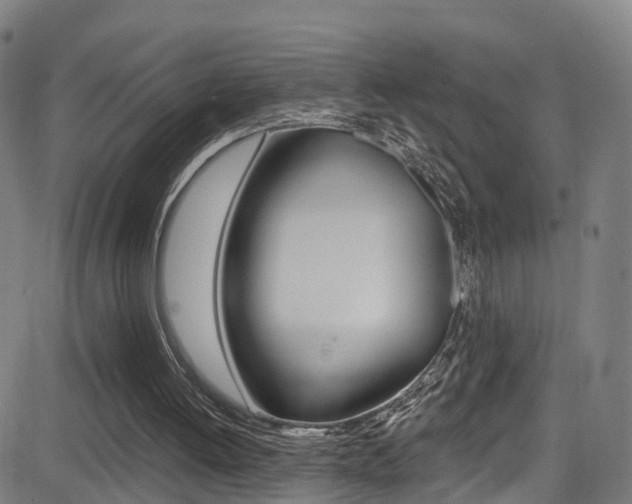 X0000081340052200701111039