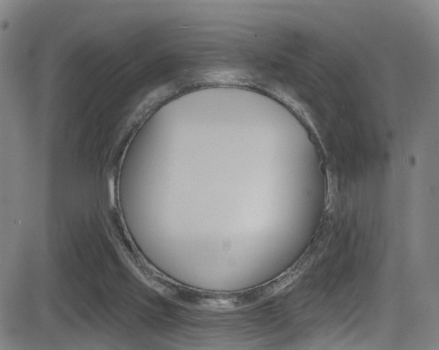 X0000081340061200701111039
