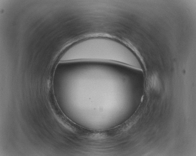 X0000081340063200701111039