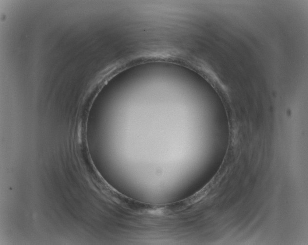 X0000081340068200701111039