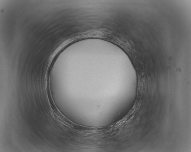 X0000081340100200701111038