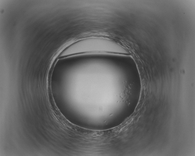X0000081340148200701111037