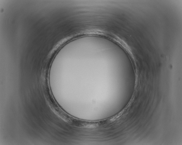 X0000081340155200701111037