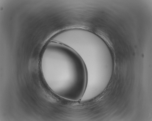 X0000081340156200701111037