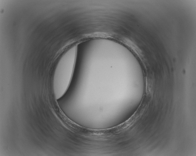 X0000081340157200701111037