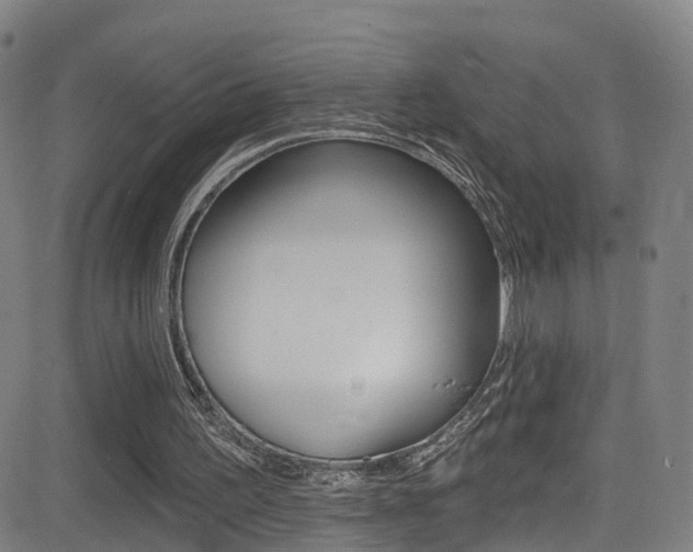 X0000081340195200701111037