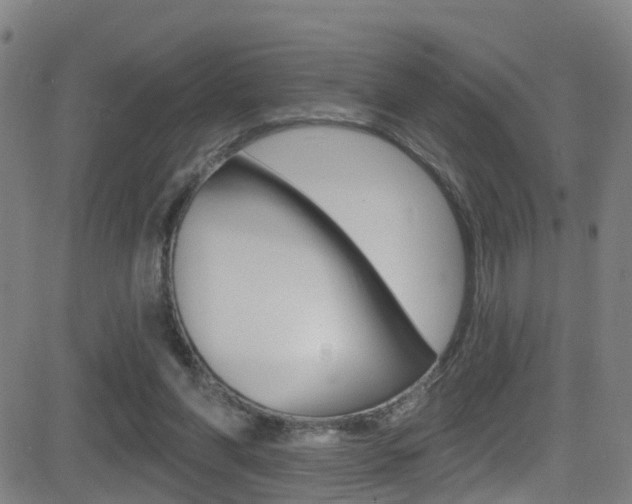 X0000081340206200701111037