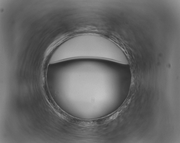 X0000081340245200701111035
