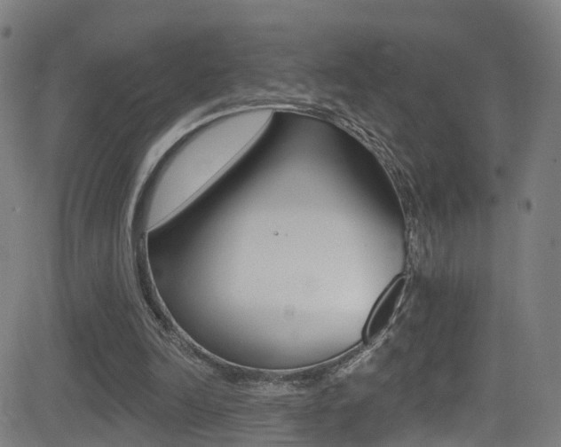 X0000081340246200701111035