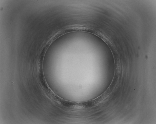 X0000081340255200701111036