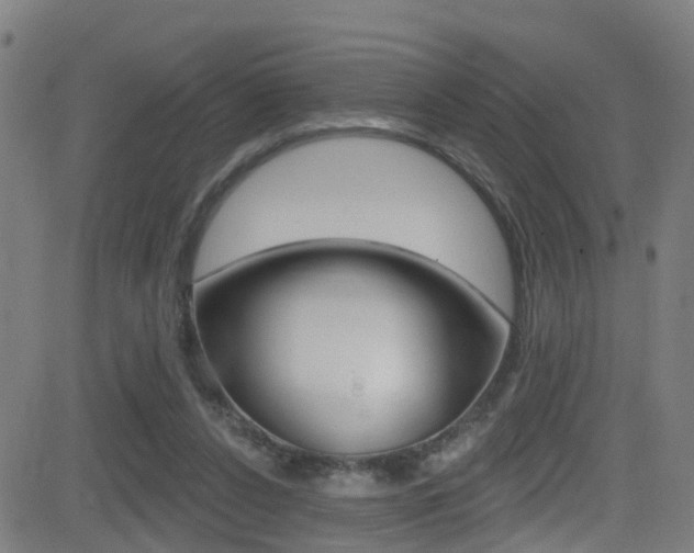 X0000081340256200701111036