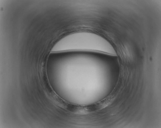 X0000081340263200701111036