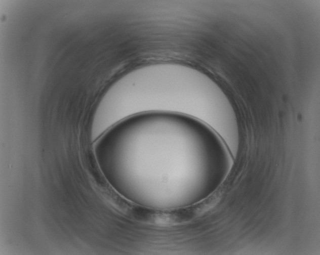 X0000081340264200701111036