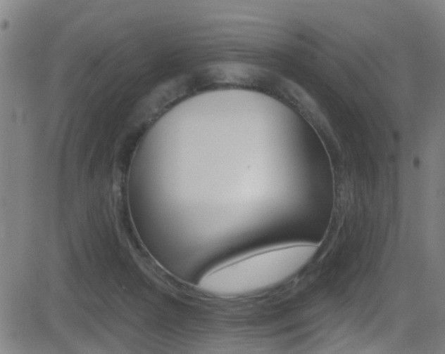 X0000081340265200701111036