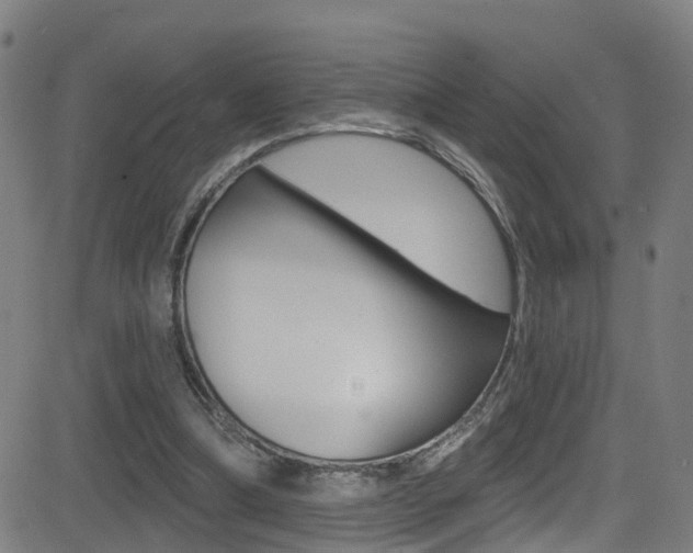 X0000081340298200701111035
