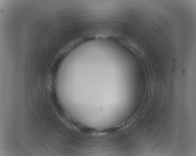 X0000081340311200701111035