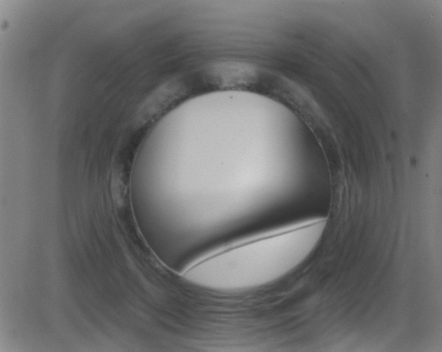 X0000081340316200701111035
