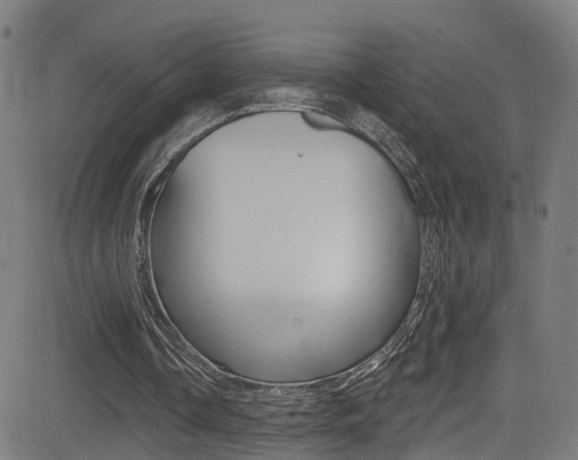 X0000081340338200701111034