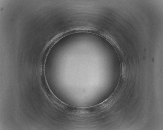 X0000081340348200701111034