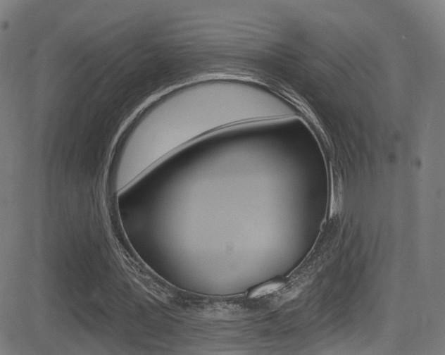 X0000081340387200701111034