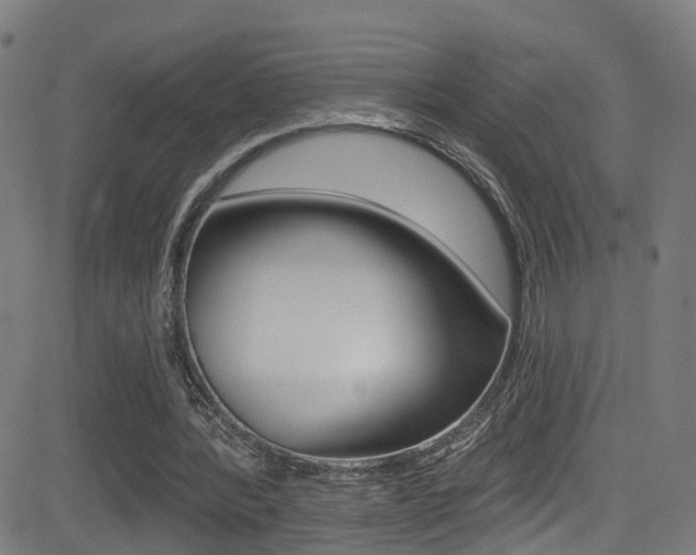X0000081340388200701111034