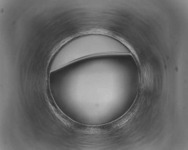 X0000081340437200701111032