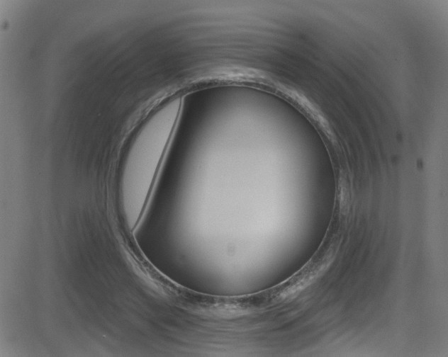 X0000081340445200701111032