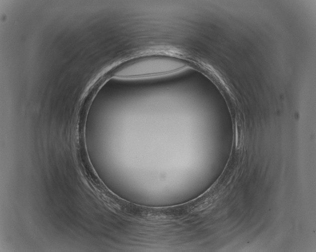 X0000081340531200701111031