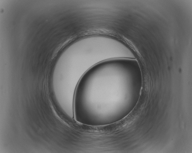 X0000081340538200701111031