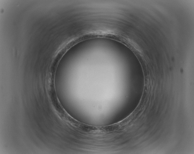 X0000081340544200701111031