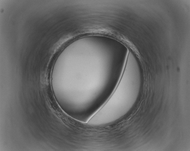 X0000081340628200701111029