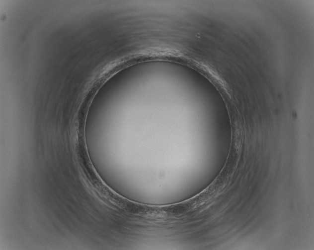 X0000081340631200701111029