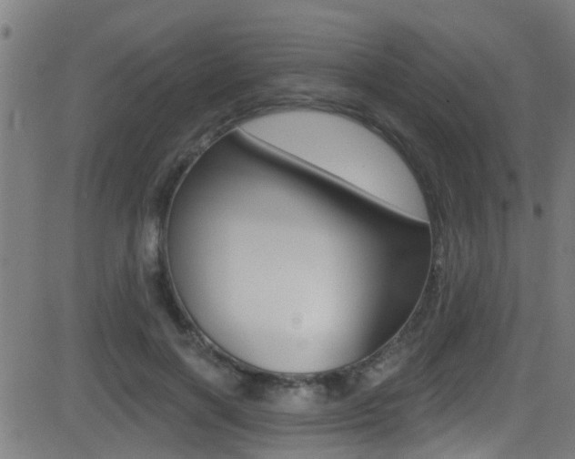 X0000081340646200701111029