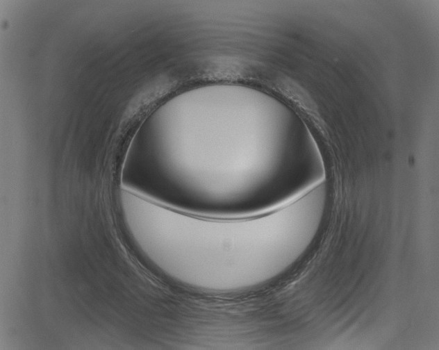 X0000081340681200701111029