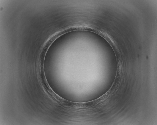 X0000081340684200701111029