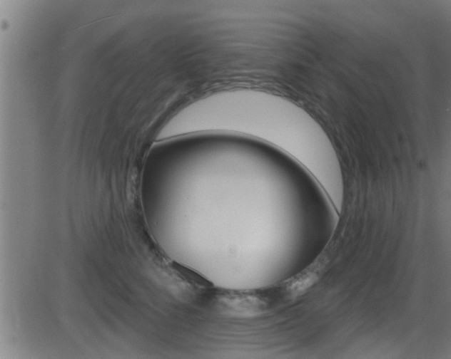 X0000081340712200701111028